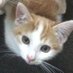 Eugen Snape (@eugen_snape) Twitter profile photo Eugen Snape (@eugen_snape) Twitter profile photo