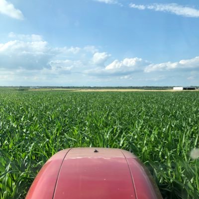 Mark Reiman Profile