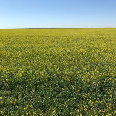 I want to talk about stories in agriculture in Saskatchewan. Mostly positive