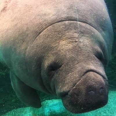 geeeeeenki103's profile picture. 0→1作り 横の繋がりを作りたい。 情報収集用