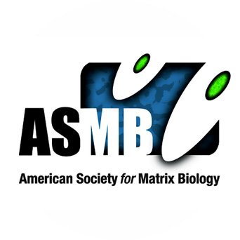 The ASMB promotes basic, translational, and clinical research on the extracellular matrix and supports the growth of the ECM research community #ECMatrix