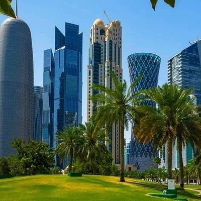 SayedGomaa28040's profile picture. 