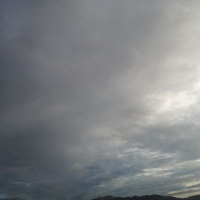 Bueno_Jose99's profile picture. 