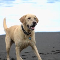 CMC (@cmccoachcoffey) 's Twitter Profile