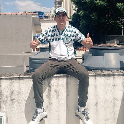 IvanJr_SEP's profile picture. Palmeirense e clubista, falo 99% sobre o palmeiras e 1% de coisas aleatórias.