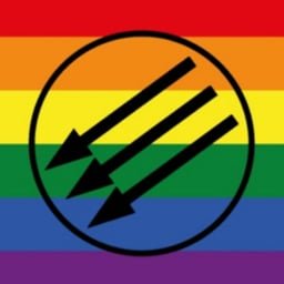 Mitglied bei @dieLinke 🚩 | queer 🏳️‍🌈 | Demokratie enjoyer | #fckafd ⬋⬋⬋