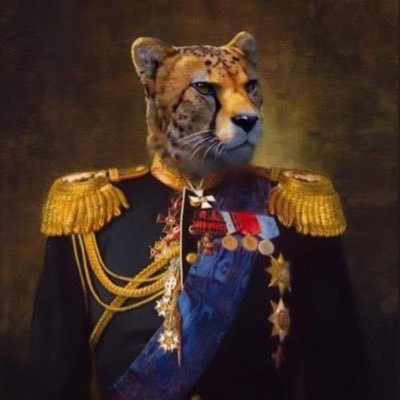 admiral_gepard Profile Picture