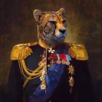 admiral gepard(@admiral_gepard) 's Twitter Profile Photo