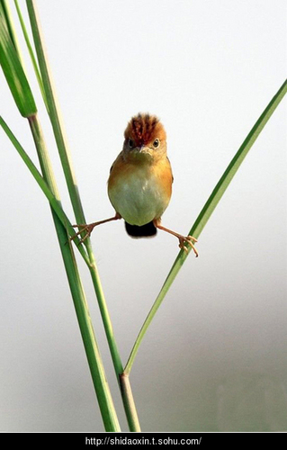 luk_yao's profile picture. 