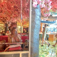Hannah Russon (@hannahrusson1) 's Twitter Profile Photo