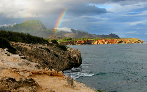 mypersonalhi's profile picture. mypersonahi@gmail.com - Personal Concierge – Genie for Hire – Choice Assistant – Gift Guide – Executive Selection - (Send us a description, we send an invoice)