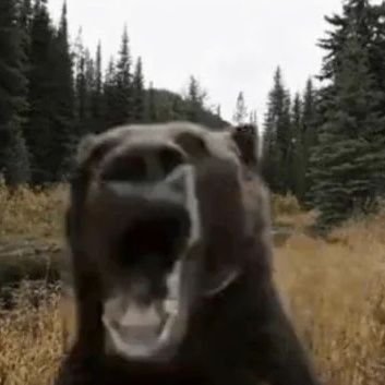 eggsinmyass69's profile picture. 