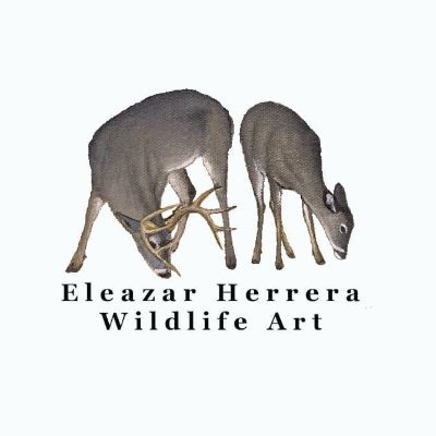Wildlife Art oil on Canvas. Fine Art Prints. NFTs. Link to my NFT https://t.co/CofaaRdLjL