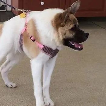 gio_maria79379's profile picture. 