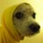Jae_Paek's profile image