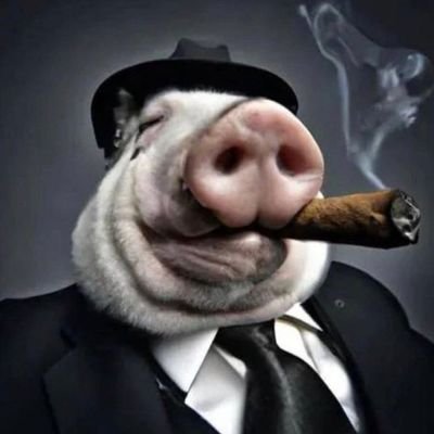 cerdocigarro Profile Picture