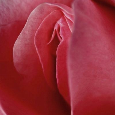 jhonibarra21_31's profile picture. 