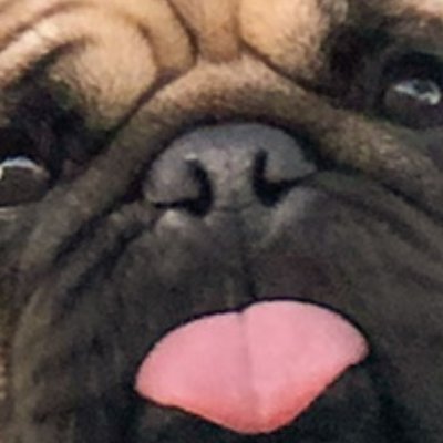 Asfkai93's profile picture. 