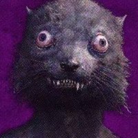 weasel (@rrweasel) 's Twitter Profile