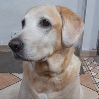 Cleusa Marques π§π·π§π·π§π· (@cleusamarques14) 's Twitter Profile