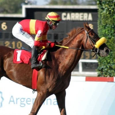 turf
hipodromo de Palermo
STUD LAS CANARIAS 🇪🇦
@lucas_caru