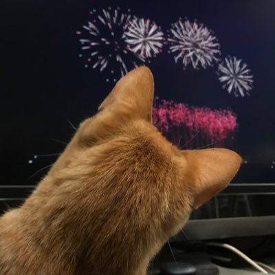 なぶたさんのプロフィール画像