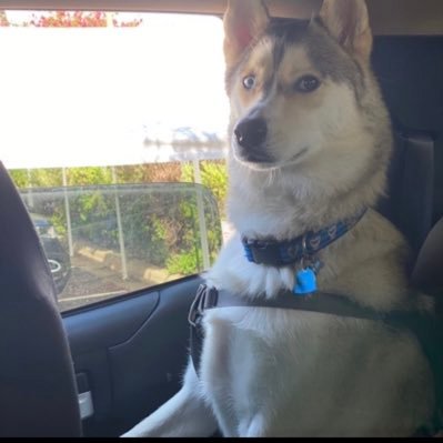 f3ar0fjay's profile picture. 