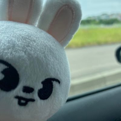 gomami_03's profile picture. 30↑のリノくん🐰ペン（特にヒョンラ🐺🐰💛 結局🐰がいればどのケミも最高）でもキッズたちみんな大好き💓全員健康で幸せでいて😌ZOOは🐺🐰🦊集めちゃう⭐️こちらスキズ垢💛