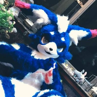 輝比 キビ― 💫next Infernity 2024さんのプロフィール画像