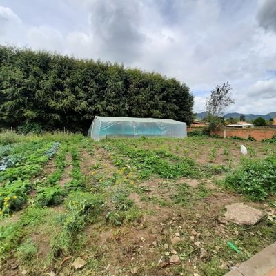 moraospina's profile picture. my son is my life