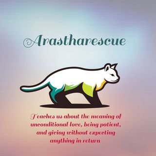 Arastha'sRescue

🐈Rescuer (500Cats) & Help Poor Cat
🐈Watch highlight for special case post
🐈Donation for helping poor cats, food, TNR:
BCA/0678095268/Harnita