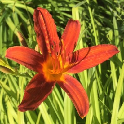 MelV28's profile picture. 