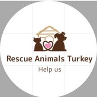 save animals turkey(@slamnajj_90ie) 's Twitter Profile Photo