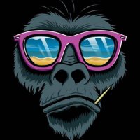 Robin Hold (@robin_hold_) 's Twitter Profile