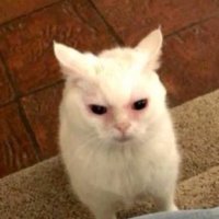 s (@seifntkmf) 's Twitter Profile
