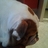 johnnybra26's profile image