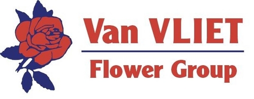 Marco van Schie,inkoper vanVliet bloemenexport-lelie-iris-hippeastrum-violier-gyps-leeuwebek-Bouvardia- Lathyrus-Veronica-Calla