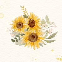 あい🌻幸せをいっぱいありがとう💛🖤 (@shokai728) 's Twitter Profile