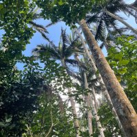 未来の億万長者 (@tanosimi_sagase) Twitter profile photo