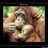 aleipearman's profile image