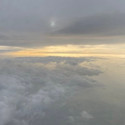 Julia171182's profile picture. pinterest ⬇️