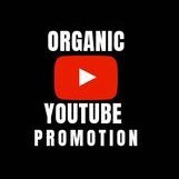 YouTube Promoter (@theytmarketing) 's Twitter Profile