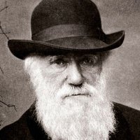 Darwin(@willodoss) 's Twitter Profile Photo