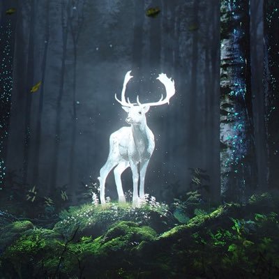 I am simply a humble storyteller that loves to explore the world in search of truth, connection, peace, and beauty.