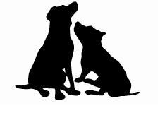 Two dogs, one dream. William Rikard-Bell and Scott Comyns get together to make a Pinot Noir!