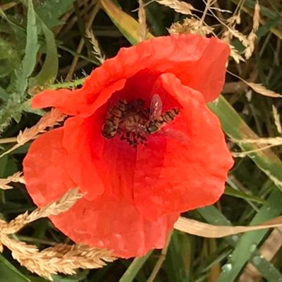 marraineDan's profile picture. 