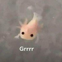 fish (@same_patryck) 's Twitter Profile