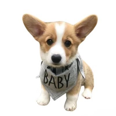 Peayaa_'s profile picture. 不加v不线下 有好心人非要给我点钱也行