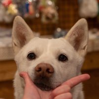 태누 포토 📸 (@taenu_photo) 's Twitter Profile Photo