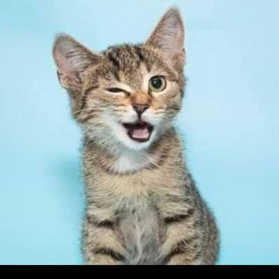 algeral53635556's profile picture. ‏‏‏نحبها  يا ناس